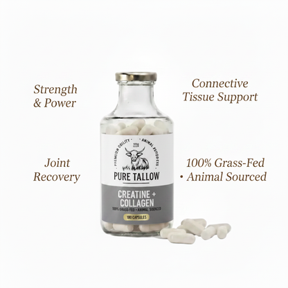 Creatine + Collagen - Benefits Image