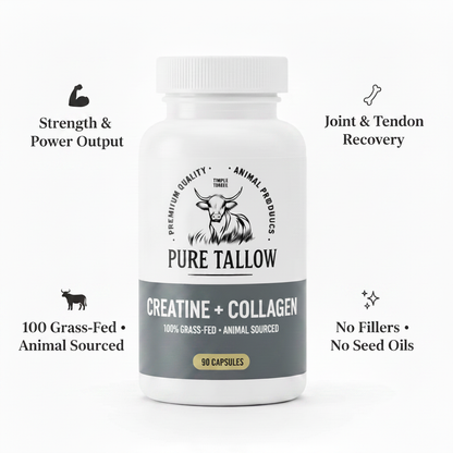Creatine + Collagen - Benefits